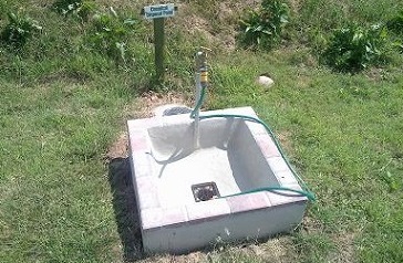 Chemical waste disposal
